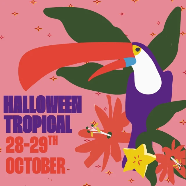 Tupi Collective: Halloween Tropical toucan artwork